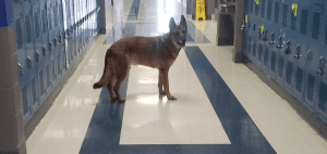 campus safety