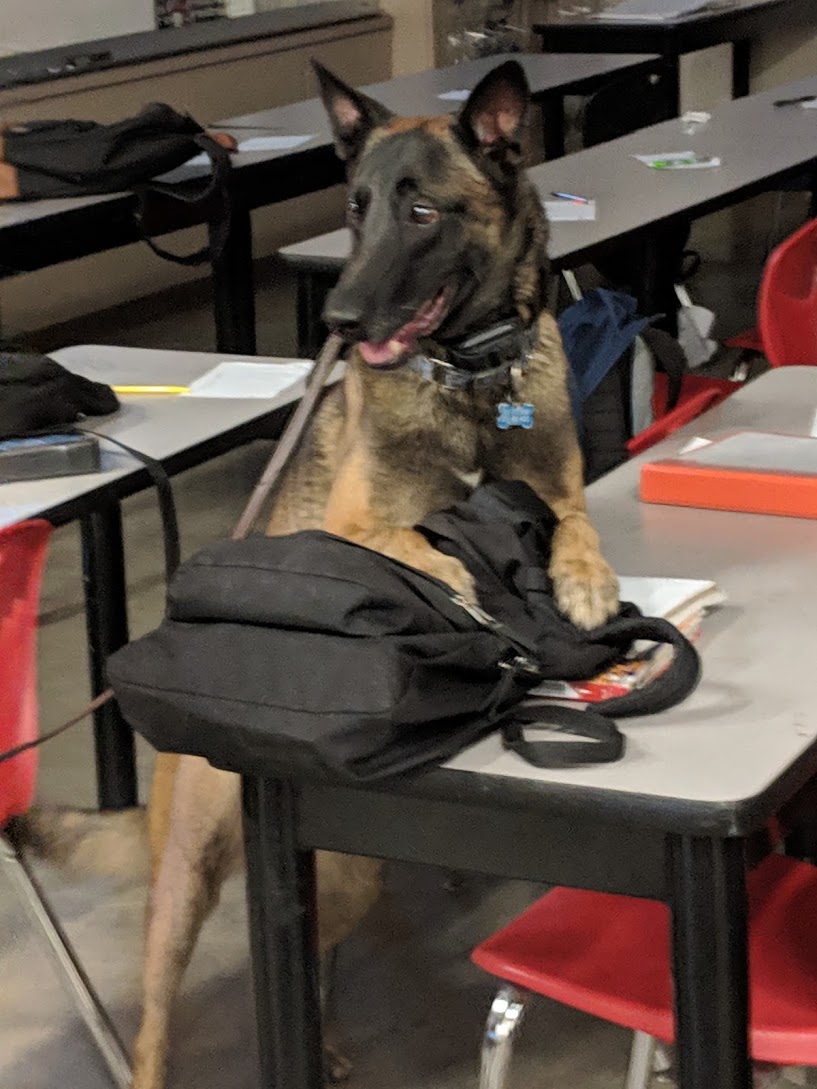 Campus Safety’s Favorite K9s, slide 6