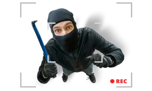 stupid criminals
