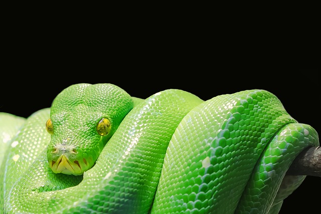 Hacked! The 21 Most Devastating Cyber Attacks of 2018, slide 10