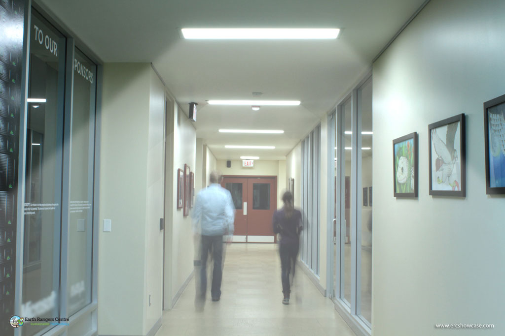 Can You Spot the Mistakes in These Campus Security Photos?, slide 11