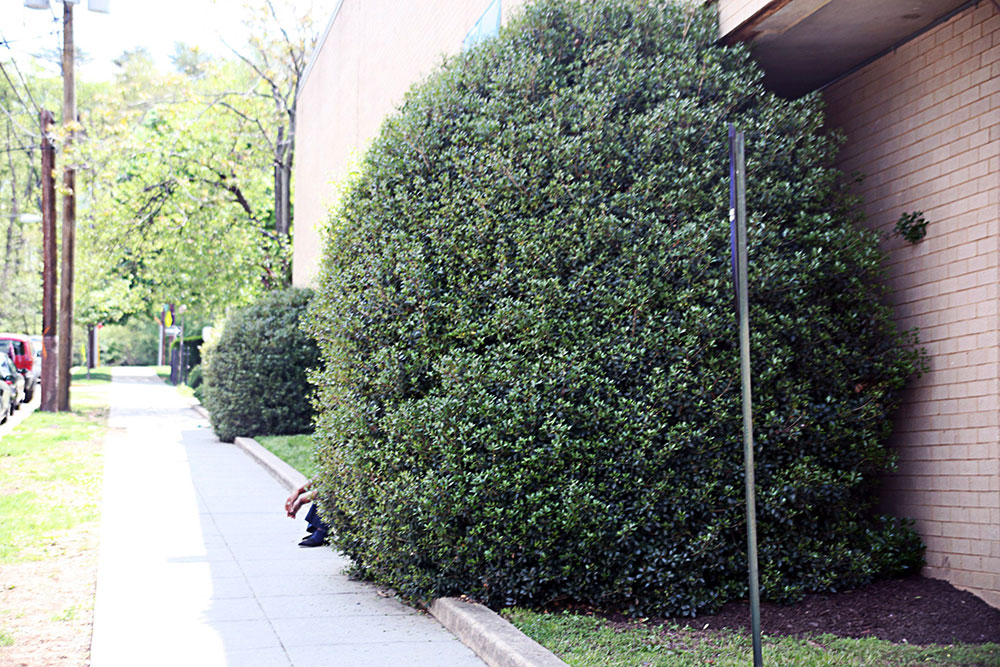 Can You Spot the Mistakes in These Campus Security Photos?, slide 2