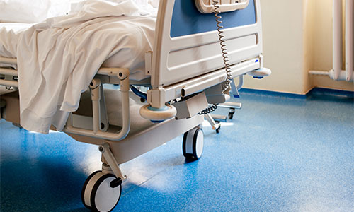gulf coast hospital sitter