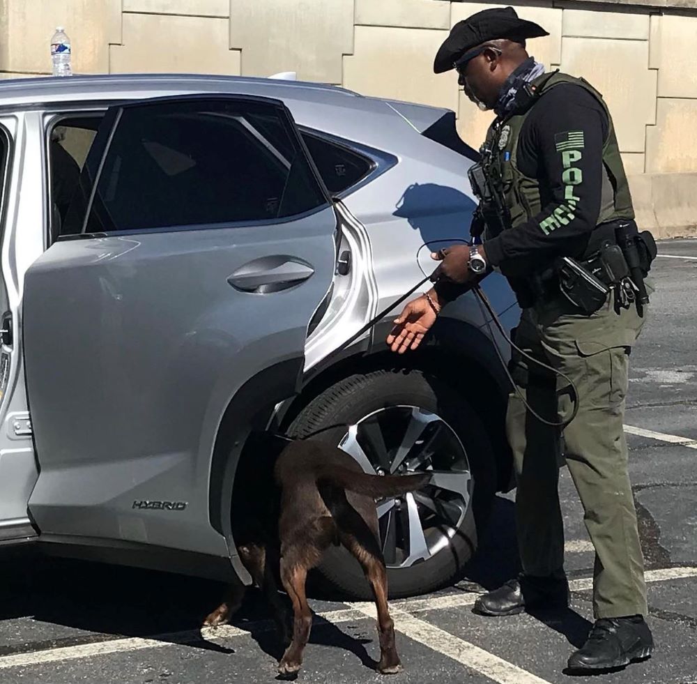 Campus Safety’s Favorite K9s, slide 4