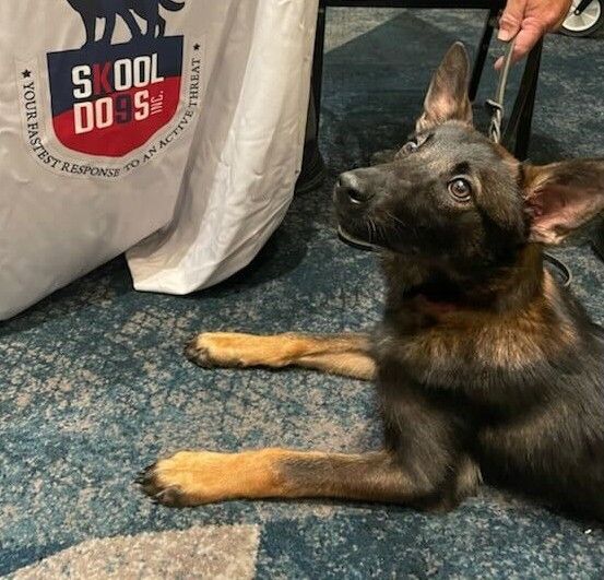 The K9s of Campus Safety, slide 13