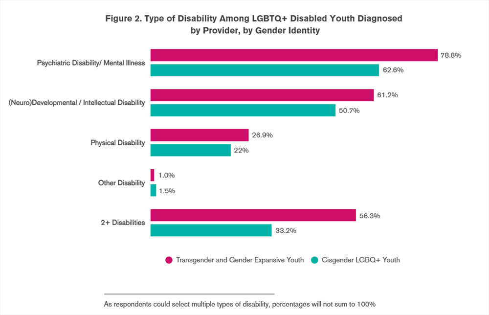 disabled LGBTQ+ students